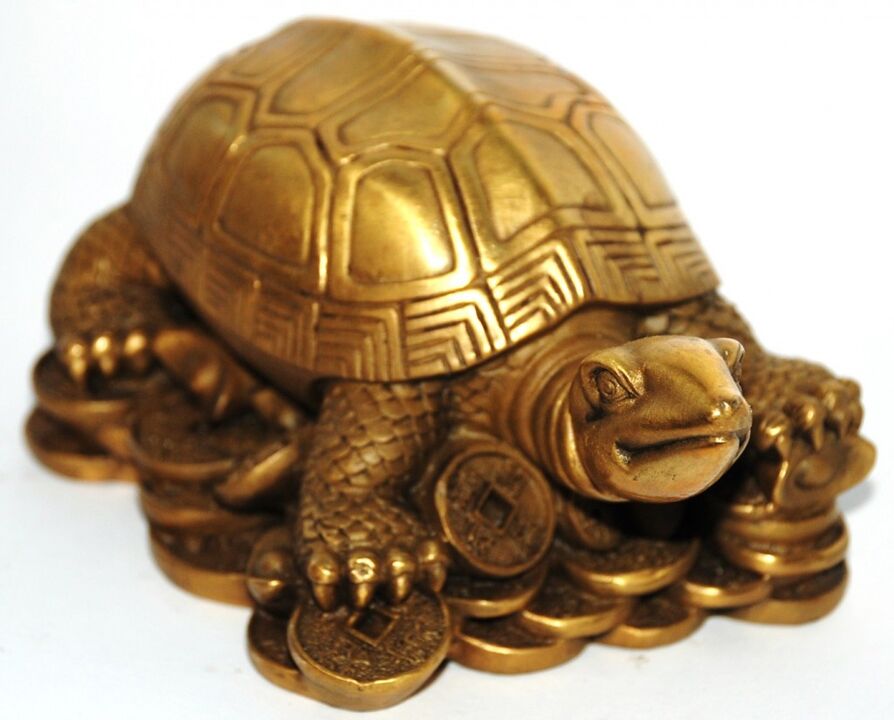 amulet turtle wealth and good luck