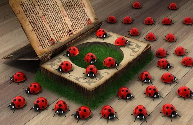 Ladybug - symbol of divine help, protection