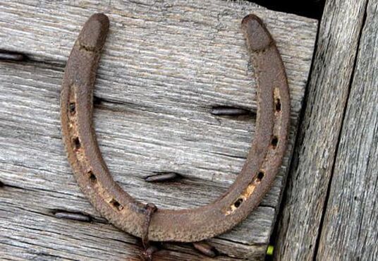 horseshoe as an amulet to attract money