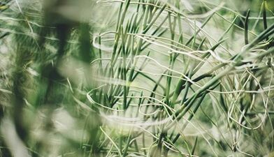 How to make a good luck charm with your own hands