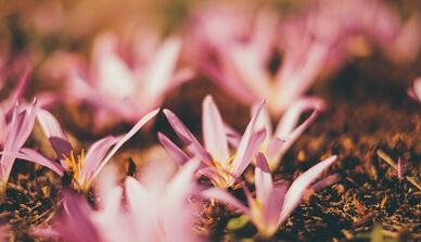 how to make a good luck charm with your own hands