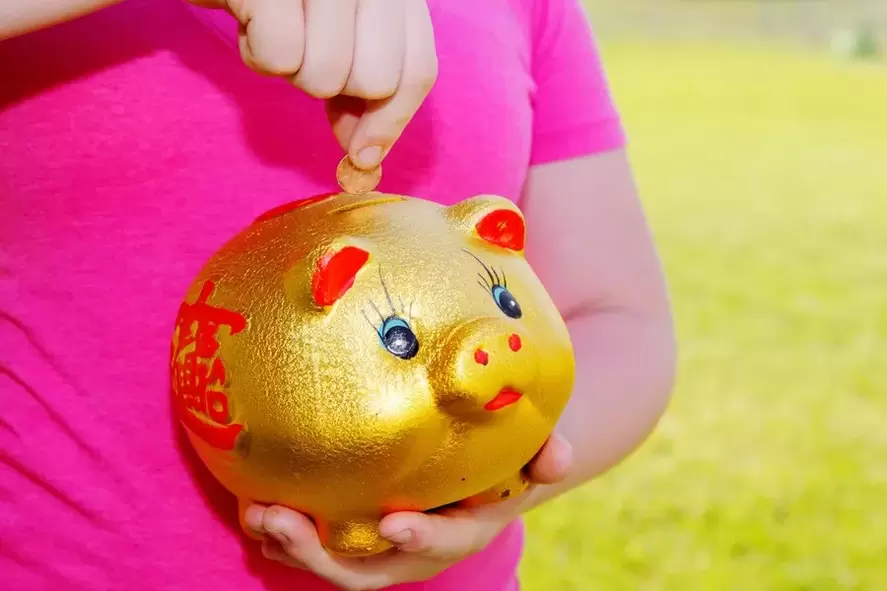 good luck talisman - pig
